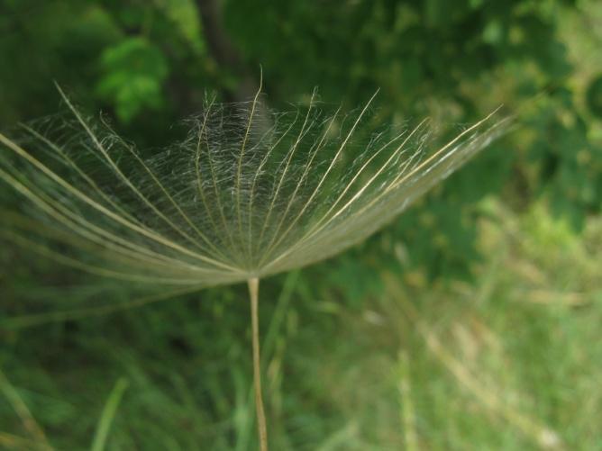 b05